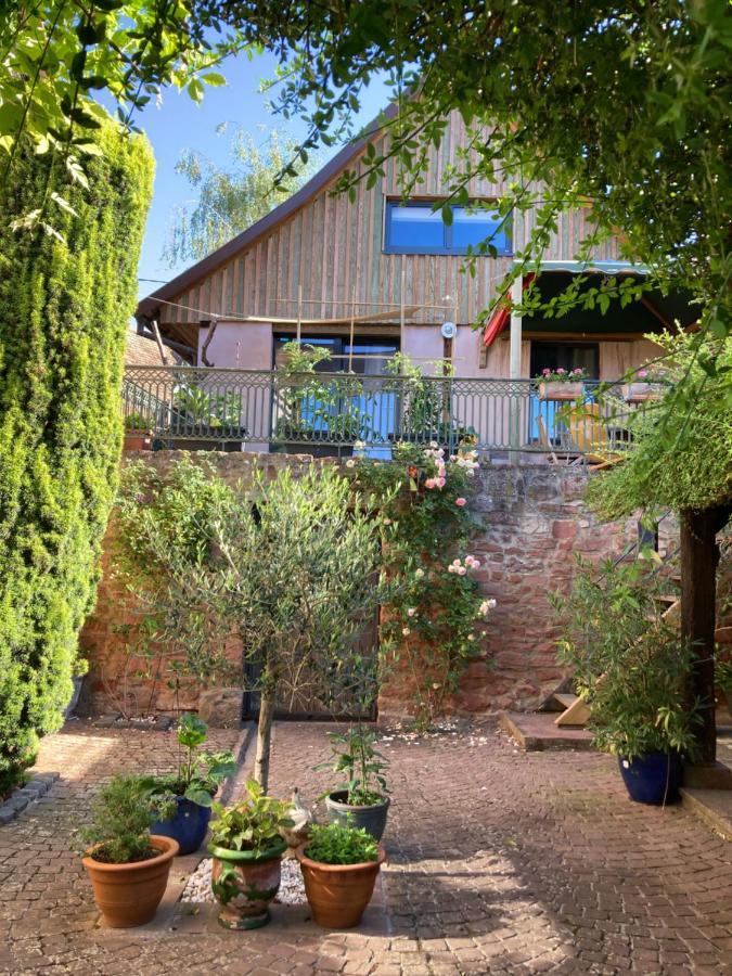 Le Grenier - Piscine Et Spa Marlenheim Eksteriør bilde